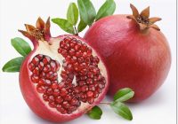 Isi Buah Delima Merah Azhan Related Image Pomegranate Mewarnai Gambar