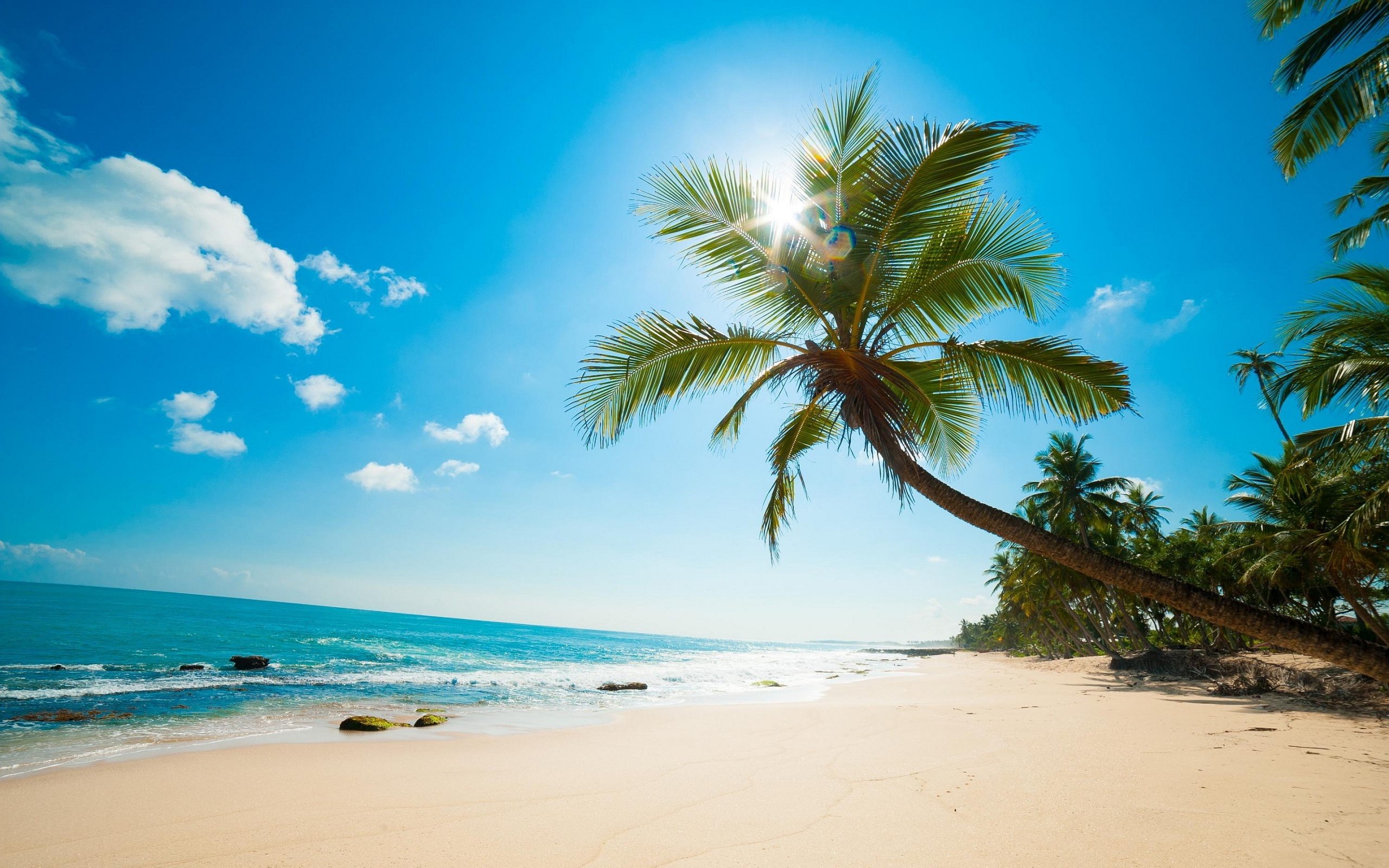 gambar pemandangan di tepi pantai